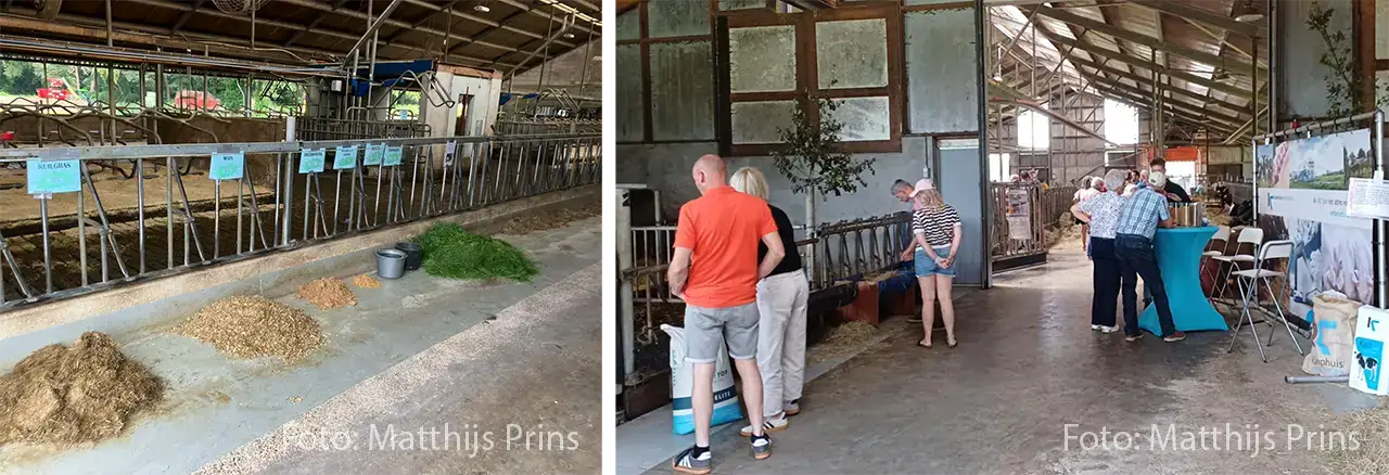 Afbeelding 2 fietstocht nieuws kamphuismengvoerders